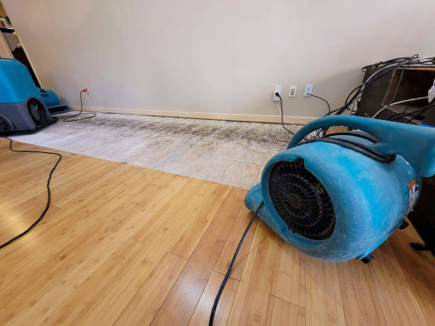 Professional Structural Drying technician working in Harrisville, NH